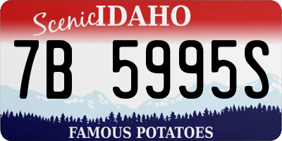 ID license plate 7B5995S
