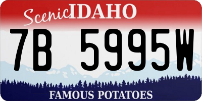 ID license plate 7B5995W