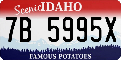 ID license plate 7B5995X