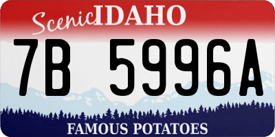 ID license plate 7B5996A