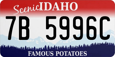 ID license plate 7B5996C