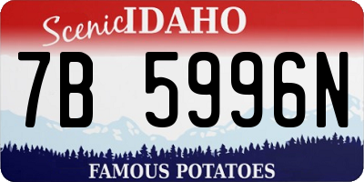 ID license plate 7B5996N