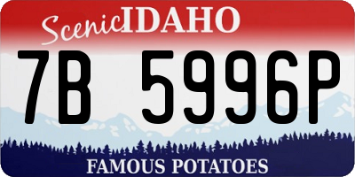 ID license plate 7B5996P
