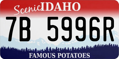 ID license plate 7B5996R