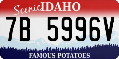 ID license plate 7B5996V