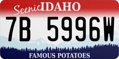 ID license plate 7B5996W