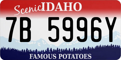 ID license plate 7B5996Y