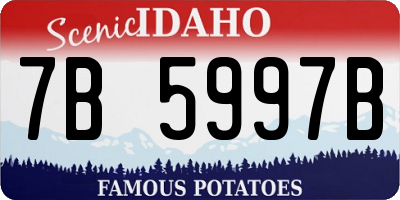 ID license plate 7B5997B