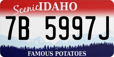 ID license plate 7B5997J