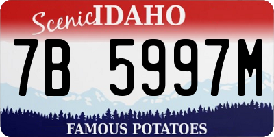 ID license plate 7B5997M
