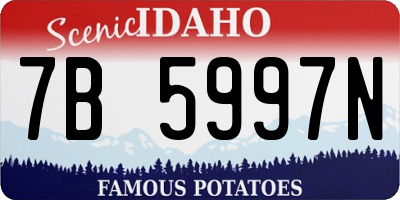 ID license plate 7B5997N
