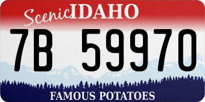 ID license plate 7B5997O