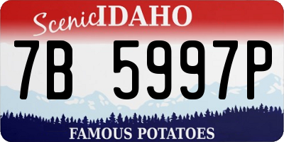ID license plate 7B5997P