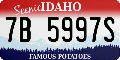 ID license plate 7B5997S