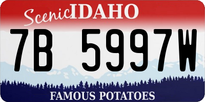 ID license plate 7B5997W