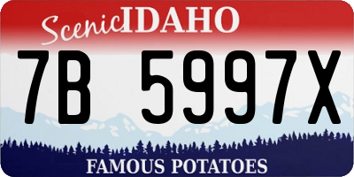 ID license plate 7B5997X