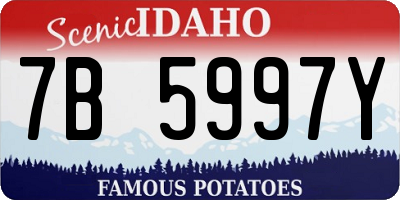 ID license plate 7B5997Y