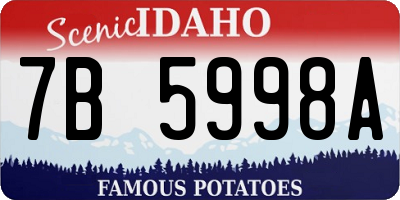 ID license plate 7B5998A