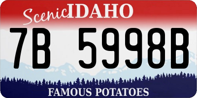 ID license plate 7B5998B