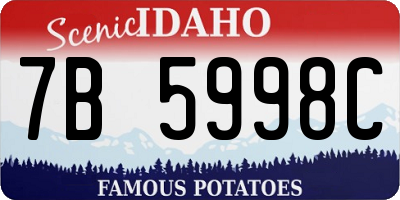 ID license plate 7B5998C