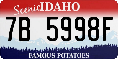 ID license plate 7B5998F