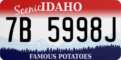 ID license plate 7B5998J