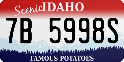 ID license plate 7B5998S