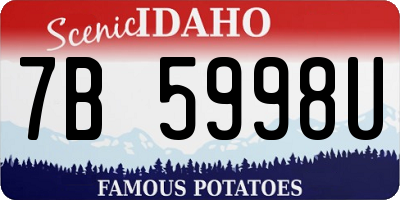 ID license plate 7B5998U