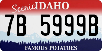 ID license plate 7B5999B