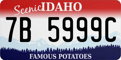 ID license plate 7B5999C