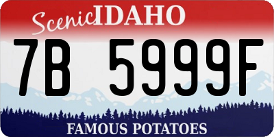 ID license plate 7B5999F