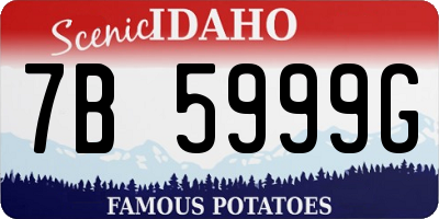 ID license plate 7B5999G