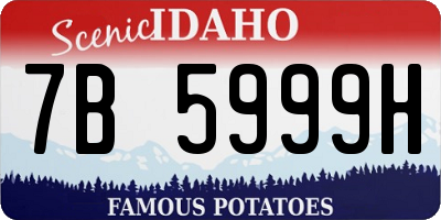 ID license plate 7B5999H