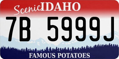 ID license plate 7B5999J