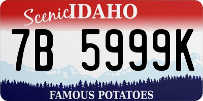 ID license plate 7B5999K