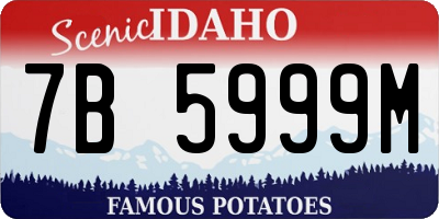 ID license plate 7B5999M