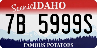 ID license plate 7B5999S