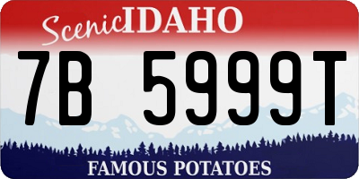ID license plate 7B5999T