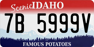 ID license plate 7B5999V