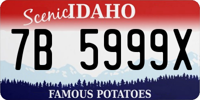 ID license plate 7B5999X