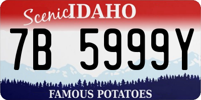 ID license plate 7B5999Y