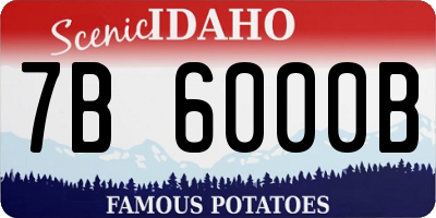 ID license plate 7B6000B