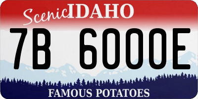 ID license plate 7B6000E