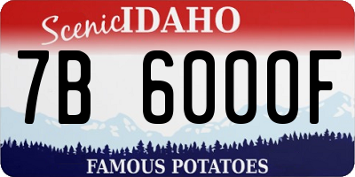 ID license plate 7B6000F