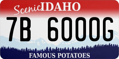 ID license plate 7B6000G