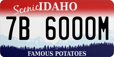 ID license plate 7B6000M