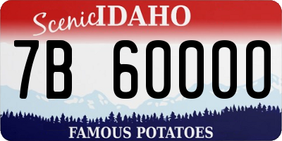 ID license plate 7B6000O