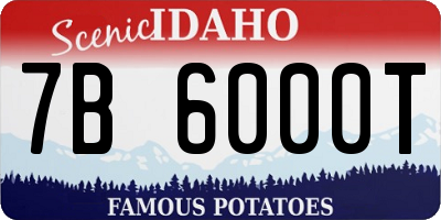 ID license plate 7B6000T