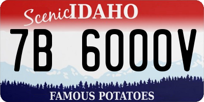 ID license plate 7B6000V