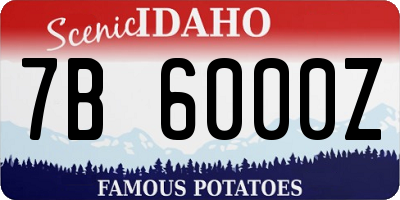 ID license plate 7B6000Z